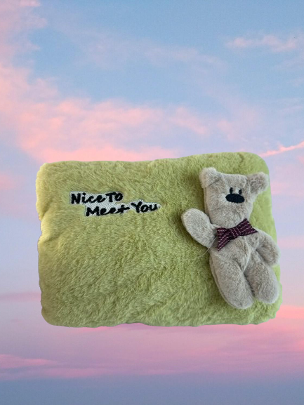 3D character hot water bag-Teddy bear