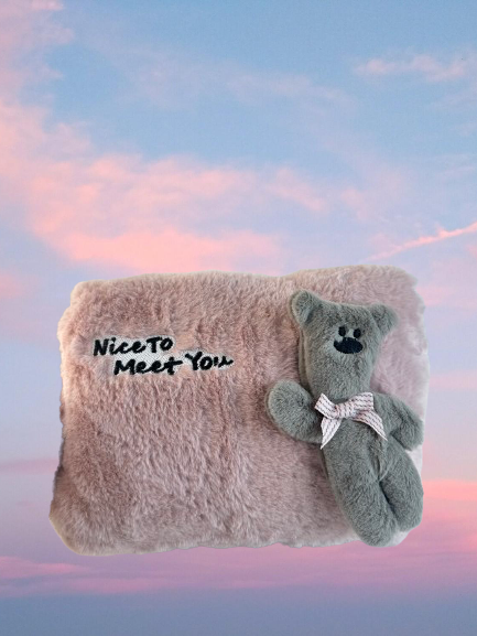 3D character hot water bag-Teddy bear